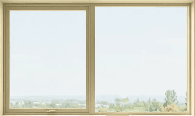 window-img